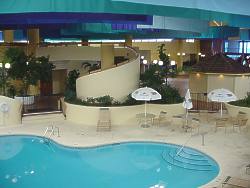 Comfort Inn Tampa Busch Gardens Indoor Pool